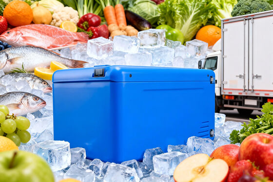 Certified Cold Chain Container with Polyurethane Insulation